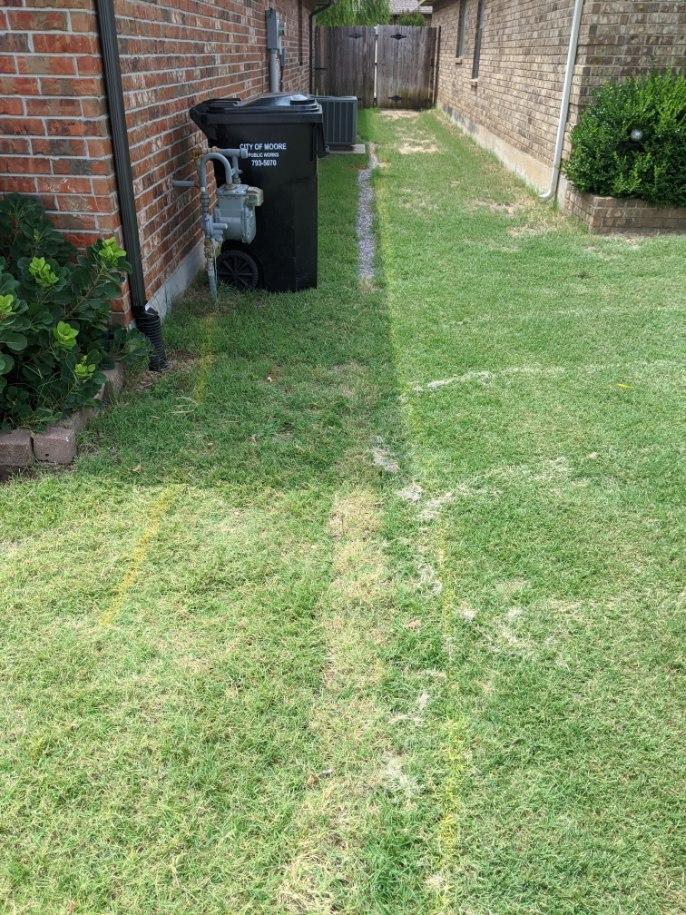 Grass growing over a French Drain